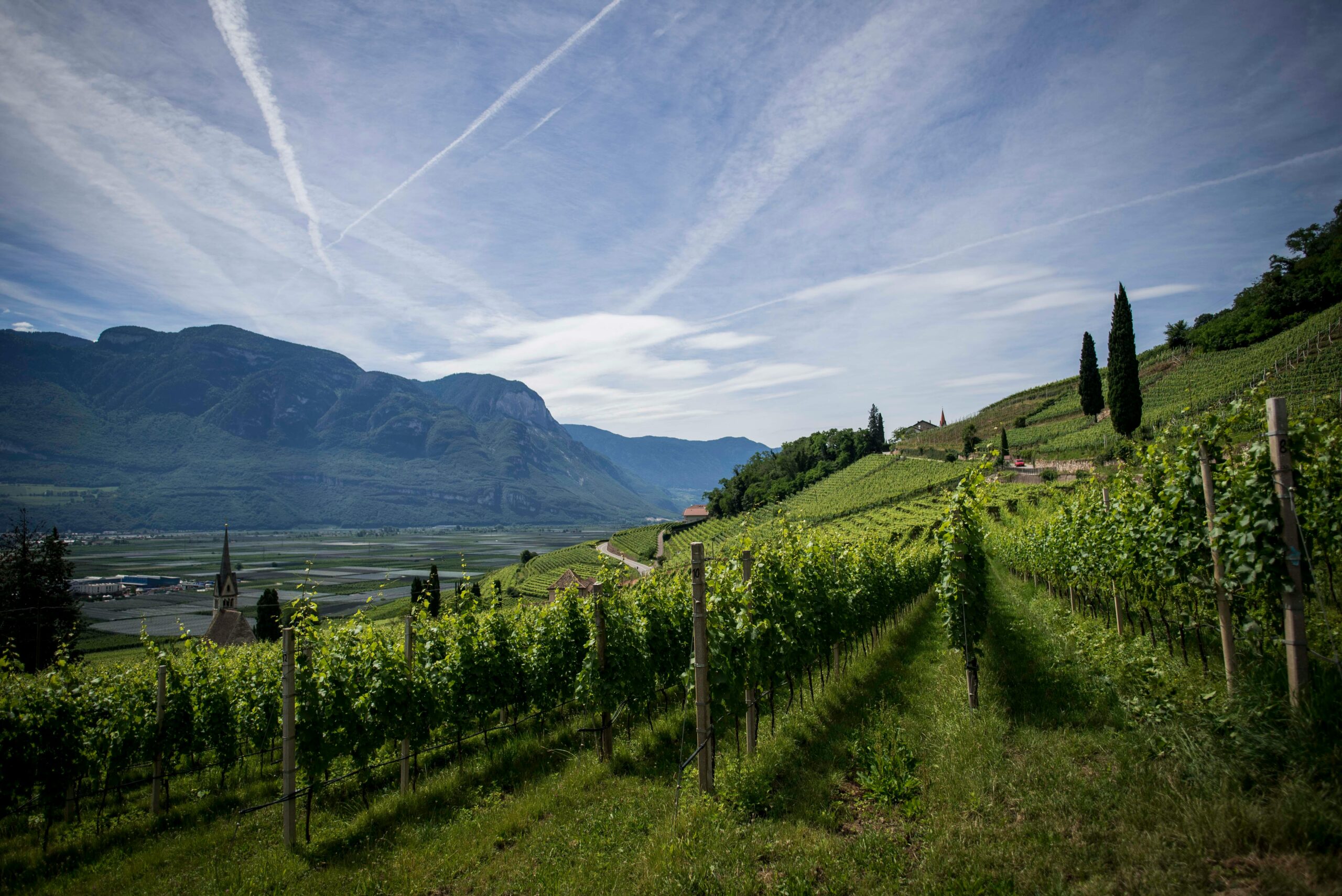 Rows of grapevines stretch across a green hillside with mountains in the background under a blue sky with wispy clouds and jet trails; a church steeple and small buildings sit in the valley below.